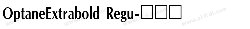 OptaneExtrabold Regu字体转换